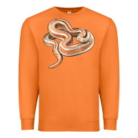 Carrot Rosy Boa Snake Illustrations Premium Sweatshirt - LillyAllenDesigns