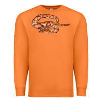 Carrot Copperhead Snake Illustrations Premium Sweatshirt - LillyAllenDesigns