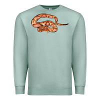 Seafoam Copperhead Snake Illustrations Premium Sweatshirt - LillyAllenDesigns