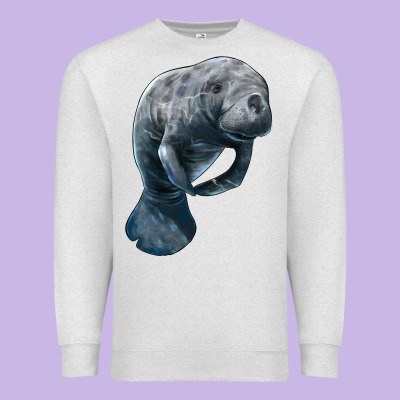 Manatee Illustrations Premium Sweatshirt Designed By Lillyallendesigns