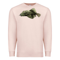 Pale Pink Bristlenose Placo Premium Sweatshirt - LillyAllenDesigns