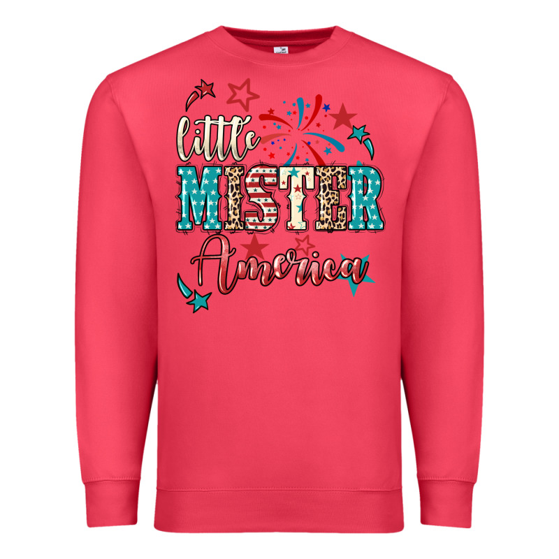 Little Mister America Premium Sweatshirt by NancyCooperArtShop | Teevron