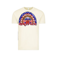 Vintage Arctic america rainbow Vintage Tee - BarkalooDesign