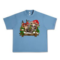 Pebble Blue Christmas donkeys Urban Heavy Tee - BarkalooDesign
