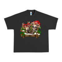 Pigment Black Christmas donkeys Urban Heavy Tee - BarkalooDesign