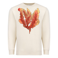 Sandshell pink venus fan sea coral Premium Sweatshirt - LillyAllenDesigns