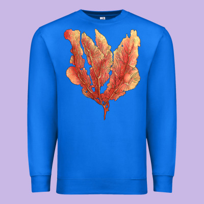 Pink Venus Fan Sea Coral Premium Sweatshirt Designed By Lillyallendesigns