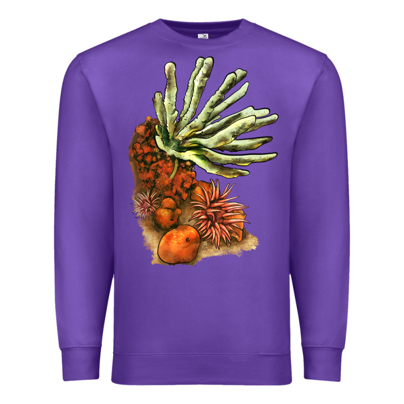 Coral Reef Premium Sweatshirt by LillyAllenDesigns | Teevron