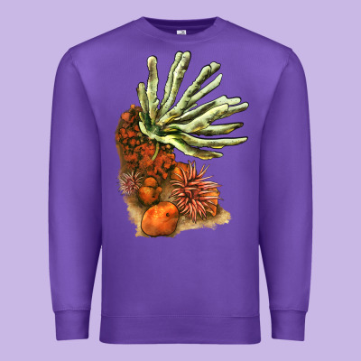 Coral Reef Premium Sweatshirt Designed By Lillyallendesigns