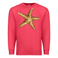 Cardinal Starfish Premium Sweatshirt - LillyAllenDesigns