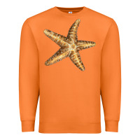 Carrot Starfish Premium Sweatshirt - LillyAllenDesigns