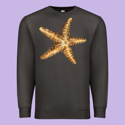Starfish Premium Sweatshirt Designed By Lillyallendesigns