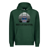 Sports Green Best Cat Dad Ever Premium Hoodie - Bettercallsaul