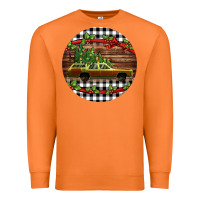 Carrot Christmas vacation car Christmas Premium Sweatshirt - Jasminsmagicworld