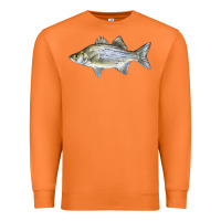 Carrot White Bass Fish Illustrations Premium Sweatshirt - LillyAllenDesigns