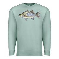 Seafoam White Bass Fish Illustrations Premium Sweatshirt - LillyAllenDesigns
