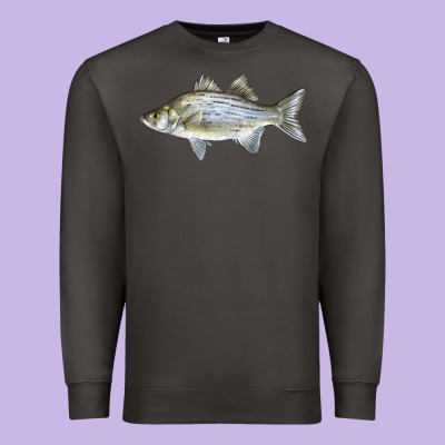 White Bass Fish Illustrations Premium Sweatshirt Designed By Lillyallendesigns