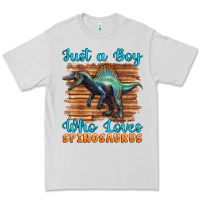 Dove Grey just a boy who loves baby spinosaurus Premium Tee - Artiststas