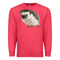 Cardinal Hedgehog Illustrations Premium Sweatshirt - LillyAllenDesigns