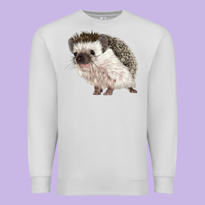 Hedgehog Illustrations Premium Sweatshirt Designed By Lillyallendesigns