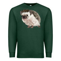 Sports Green Hedgehog Illustrations Premium Sweatshirt - LillyAllenDesigns