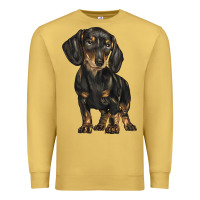 Antique Gold dachshund Premium Sweatshirt - BarkalooDesign