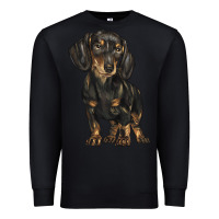 Black dachshund Premium Sweatshirt - BarkalooDesign