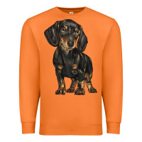 Carrot dachshund Premium Sweatshirt - BarkalooDesign
