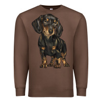 Chestnut dachshund Premium Sweatshirt - BarkalooDesign