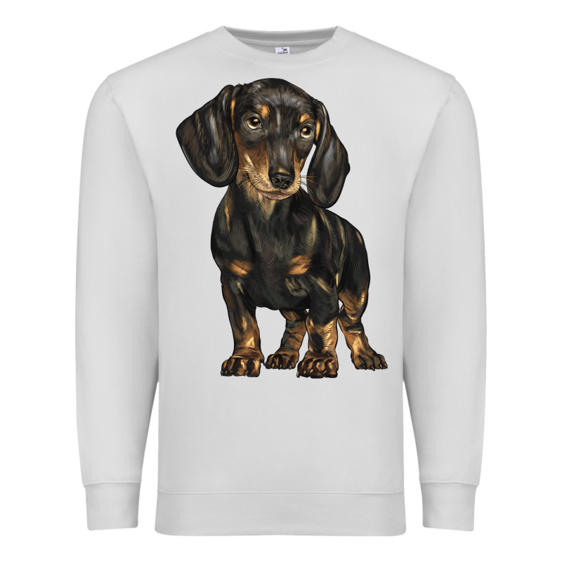 Dachshund Premium Sweatshirt by BarkalooDesign | Teevron