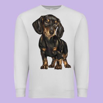 Dachshund Premium Sweatshirt Designed By Barkaloodesign
