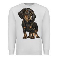 Dove Grey dachshund Premium Sweatshirt - BarkalooDesign