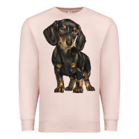 Pale Pink dachshund Premium Sweatshirt - BarkalooDesign