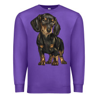 Purple dachshund Premium Sweatshirt - BarkalooDesign
