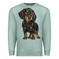 Seafoam dachshund Premium Sweatshirt - BarkalooDesign