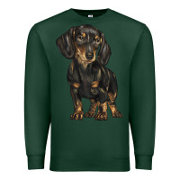 Sports Green dachshund Premium Sweatshirt - BarkalooDesign