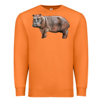 Carrot hippopotamus Premium Sweatshirt - LillyAllenDesigns