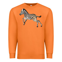Carrot Baby Zebra Premium Sweatshirt - LillyAllenDesigns