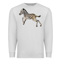 Dove Grey Baby Zebra Premium Sweatshirt - LillyAllenDesigns
