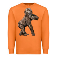 Carrot Baby Gorilla Premium Sweatshirt - LillyAllenDesigns