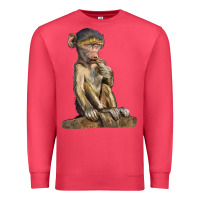 Cardinal Baby Baboon Illustrations Premium Sweatshirt - LillyAllenDesigns