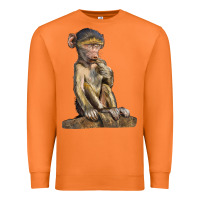 Carrot Baby Baboon Illustrations Premium Sweatshirt - LillyAllenDesigns