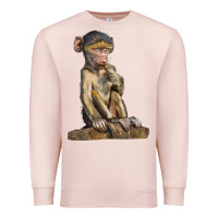Pale Pink Baby Baboon Illustrations Premium Sweatshirt - LillyAllenDesigns