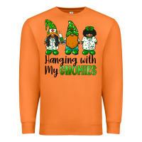 Carrot hanging with my gnomies african american nurse gnomies Premium Sweatshirt - BarkalooDesign