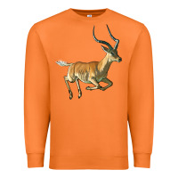 Carrot Impala Antelope Illustrations Premium Sweatshirt - LillyAllenDesigns