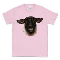 Bubblegum Pink suffolk ewe head Classic Tee - BarkalooDesign