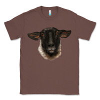 Chestnut suffolk ewe head Classic Tee - BarkalooDesign