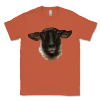Copper suffolk ewe head Classic Tee - BarkalooDesign