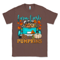 Chestnut farm fresh pumpkins Classic Tee - HRA Design Shop