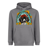 Storm german shorthaired pointer western rainbow Heavyweight Hoodie - Artiststas